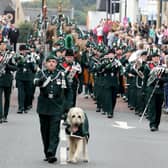 Crowds lined the route of the parade through Ballymena town centre on Saturday.