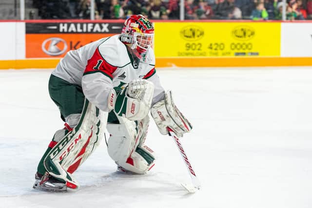 Netminder Alexis Gravel has joined the Belfast Giants
