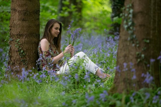 Portglenone Forest is well known for the stunning carpet of bluebells that bloom throughout the site in spring.  However, with its winding paths leading visitors through the ancient woodland to the banks of the River Bann, it's a beautiful spot for a walk any time of the year.