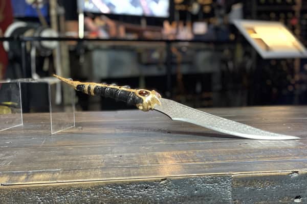 The iconic House of Dragons catspaw dagger is on display at the Game of Thrones Studio Tour in Banbridge