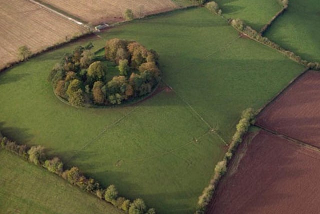 Not far from Cookstown, this seemingly innocuous mound, surrounded by trees, was actually the location where the Chiefs of the Clan O’Neill of Tyrone were.
The site truly came to historical prominence in the 11th century, when the Cenel Feargusa, who included the O’Hagans, allies of the O’Neills, took possession of the site as a ‘reachtaire’ (steward of the household) which they held right up until the 17th century. The O’Hagans eventually became the site’s hereditary guardians, with their burial place at Donaghrisk situated at the bottom of the hill. 
The inauguration of successive O’Neill rulers was carried out by the heads of the O’Cahan and O’Hagan - the former, the O’Neill’s principal sub-chief, would throw a golden sandal over the new Lord’s head to signify good fortune. O’Hagan, being the hereditary guardian of Tullyhogue, would place the shoe on O’Neill’s foot and present him with a rod of office. Hugh O’Neill’s inauguration in 1595 would be the last such event at Tullyhogue.