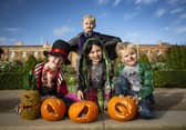 Halloween Half Term at Hillsborough Castle and Gardens will see an array of family events taking place across the gardens, from a hay bale maze to pumpkin carving, wildlife walks and storytelling. Pic credit: Brian Morrison