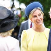 The Duchess of Edinburgh chats with garden party guests at Hillsborough Castle.
