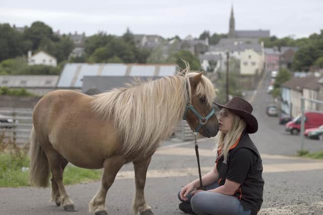 Shauna McFall gets ready to sell her pony at the Ould Lammas Fair. Picture: Steven McAuley / McAuley Multimedia.