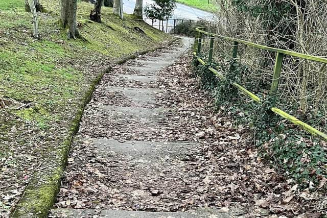 Residents say leaves have not been swept in the area for more than a year. Currently the steps are very hazardous particularly in wet and icy weather. Concerns at the lack of maintenance of the Curly Wurly Bridge in the Clonmeen area of Craigavon, Co Armagh.