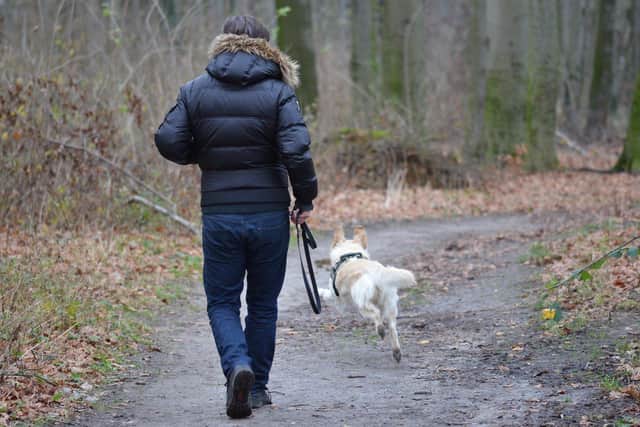 Dog owners have been warned to be vigilant after a pet was reportedly poisoned during a visit to the Drumcairne Forest area of Stewartstown.