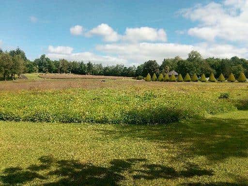 Polepatrick Park and Cemetery in Magherafelt | National World