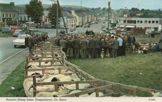 An old postcard showing the sheep market in Draperstown town centre.