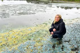 Caption: Cllr Annemarie Logue inspects the blue green algae at the blue bridge area in Crumlin. Pic: Cllr Lucille O’Hagan