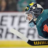 It is the signing that the Stena Line Belfast Giants' fanbase had been hoping for. And now it has been confirmed, netminder Tyler Beskorowany will be returning for the upcoming 2023/24 season. Photo by William Cherry/Presseye