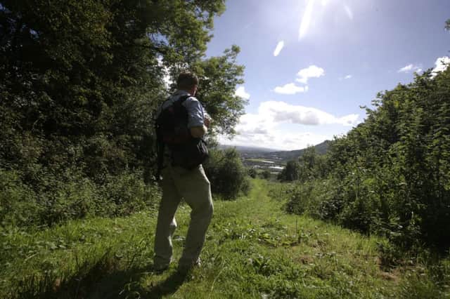 The Woodland Trust cares for this much-loved location. Photo by Press Eye.