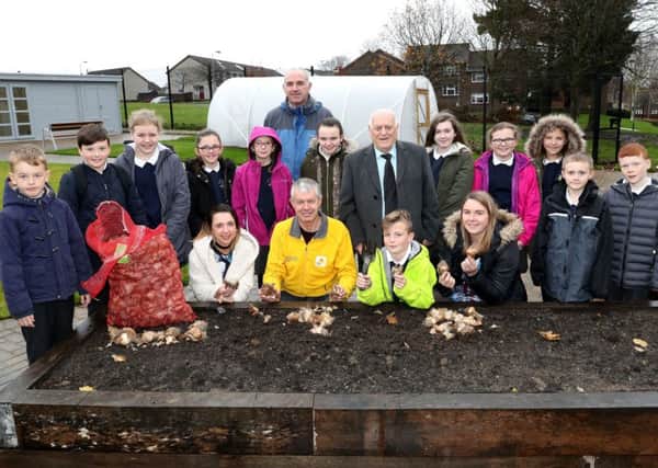 Pupils get planting: Children from Ballymacash Primary School with Alderman Tommy Jeffers, Chairman of the council's Environmental Services Committee; Robert McClean, NIHE Grounds Maintenance; Valerie Douglas, Development Worker at Ballymacash Community Centre; Pamela Johnston, NI Housing Executive Team Leader, Lisburn Castlereagh and David Skelton of Marie Curie Cancer Care.