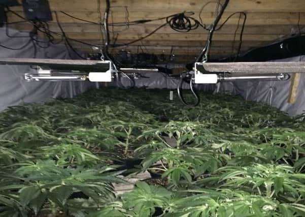 The suspected cannabis factory.