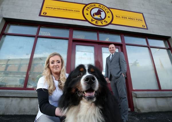Priscilla Ward with her Bernese Mountain Dog, Simba and Derick Wilson, Business Development Manager at Ulster Bank.