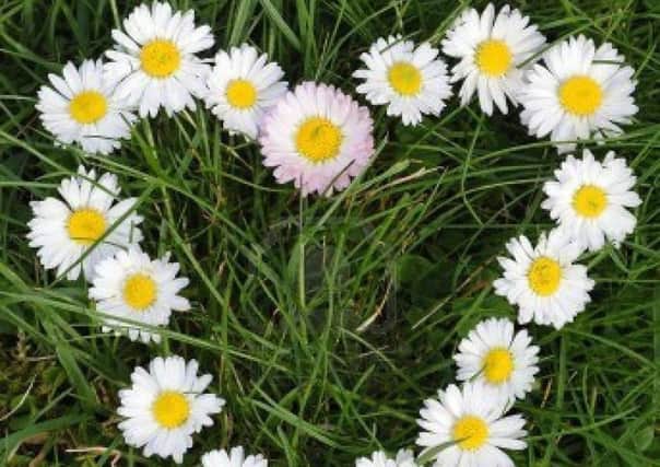 Daisy Day to be marked.