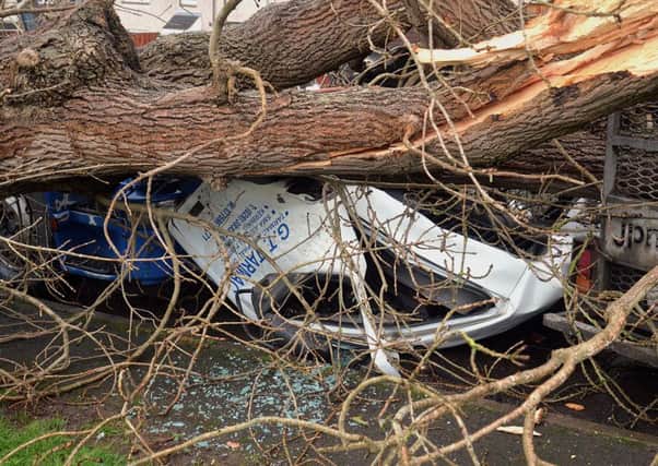 A tarmac tipper lorry was destroyed when a tree was blown down onto the cab as it sat parked in Derryclone Gardens in the Rectory Park Estate as Storm Eleanor struck on Tuesday evening. INPT01-205.