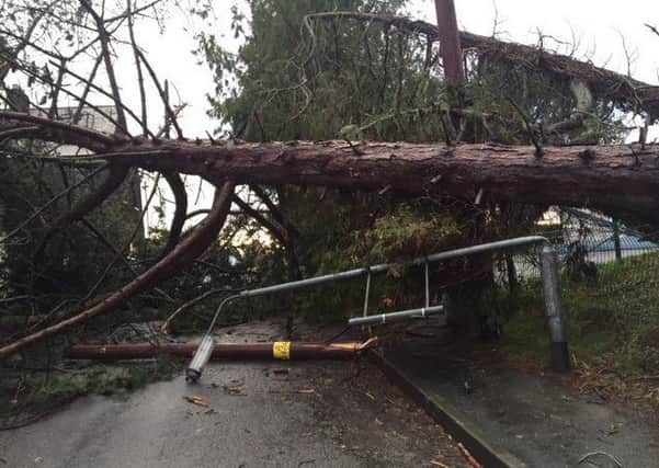 This picture of damage caused by a fallen tree at Tullynacross Road, Lisburn was posted on Twitter by NIE Networks.