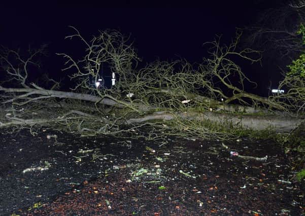 A tree blocks the Gilford Road at Long Lane during Storm Eleanor on Tuesday evening. It was one of at least four trees on the road which were toppled by the high winds.INPT01-212.