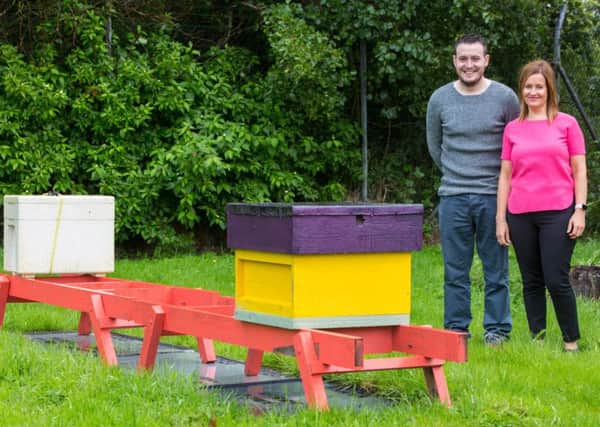 Ryan McCavigan and Orla Hoy are part of a new Bee Shift at Craigavon-based manufacturer Interface which is creating a one-acre nature reserve for 40,000 endangered Irish bees.