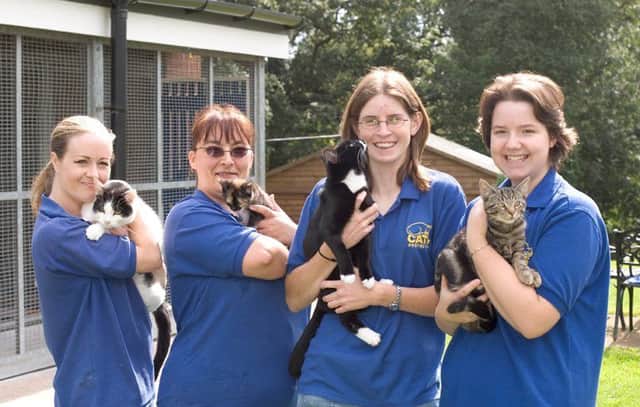 Cats and carers