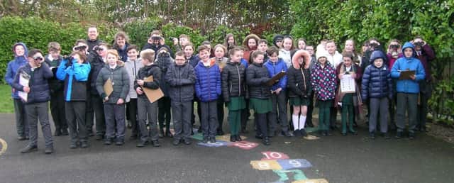 Primary school pupils from St MacNissis Primary School have taken part in the worlds biggest wildlife survey.