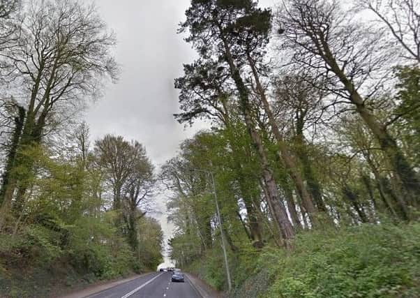 A number of trees on land beside Moira House, Hillsborough Road are to be reduced in height for safety reasons, the council has confirmed. Pic by Google