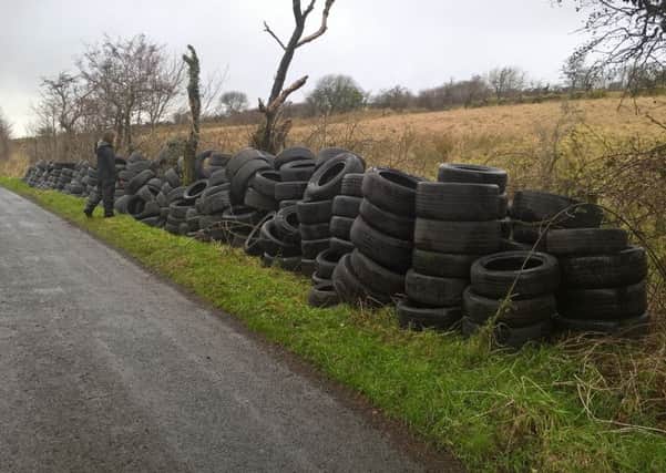 The mountain of tyres dumped over the gate at Slievenacloy Nature Reserve, piled up by Ulster Wildlife staff on the roadside for collection.