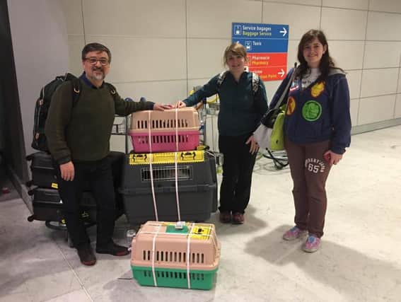 Gabrielle Gardiner helps transport the rescues with Rebecca Boyce and a volunteer at Paris Charles de Gaulle airport.