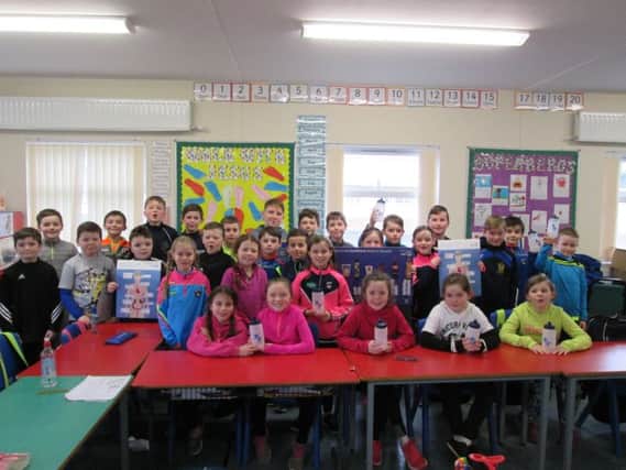St Peter's PS Collegeland, Moy