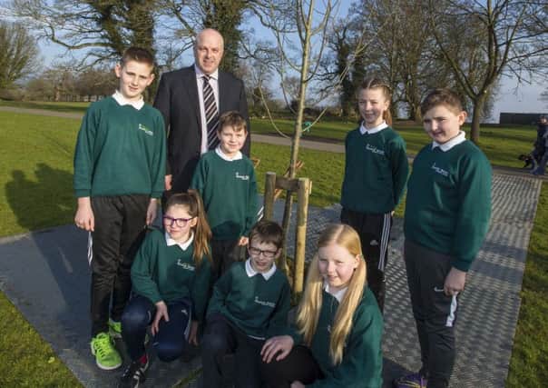 Children from the Eco-Council at Meadow Bridge Primary School recently joined the Chairman of Lisburn & Castlereagh City Councils Chairman of the Leisure & Community Development Committee, Alderman James Tinsley in Moira Demesne to plant new trees following damage caused by recent winter storms.