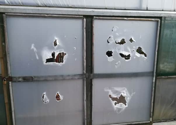 A large polytunnel at the Bannvale Unit in Gilford was punctured by the vandals.