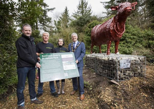 Richard Rogers (Groundwork NI and The Alpha Programme), John Belshaw (WDCA), Jennifer Morrow (BBC Big Painting Challenge finalist) and Mayor Tim Morrow officially opened the extended Belshaw's Quarry Sculpture Park last Saturday. Pic by Jonathan Clark