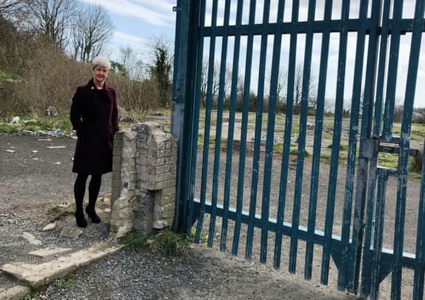 Cllr Angela Smyth at the site of the old Antiville Primary School.
