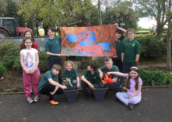 The pupils of Duneane Primary School were very pleased with the donation they received from  Randalstown Cultural Awareness Association of  pots and poppy seeds.