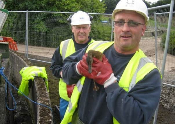 Rescuers Nicky Hill and Frank Quinn with a lucky duckling.