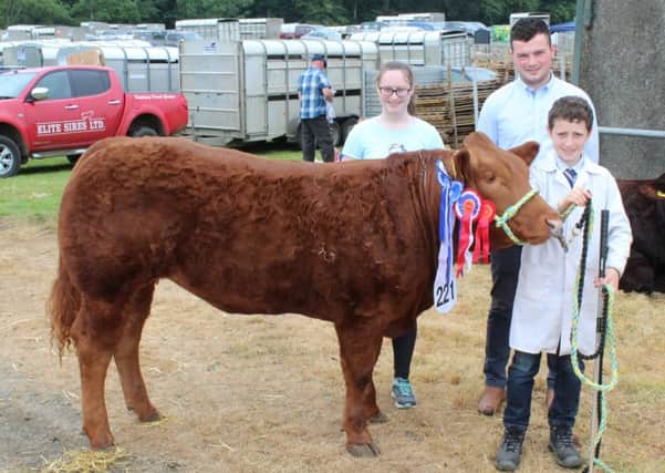 Kyle Diamond, from Garvagh, leads out the Commercial Beef Champion at this year's Ballymoney Show in the company of Amy McCollum, from Coleraine and Jonathan Kyle from United feeds