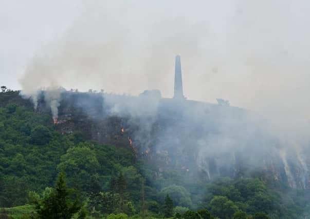 Last month's gorse fire at Knockagh.