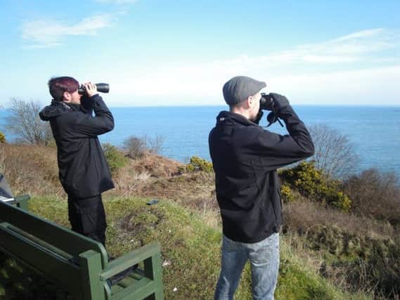 Grab your binoculars and join in the marine mammal watch.