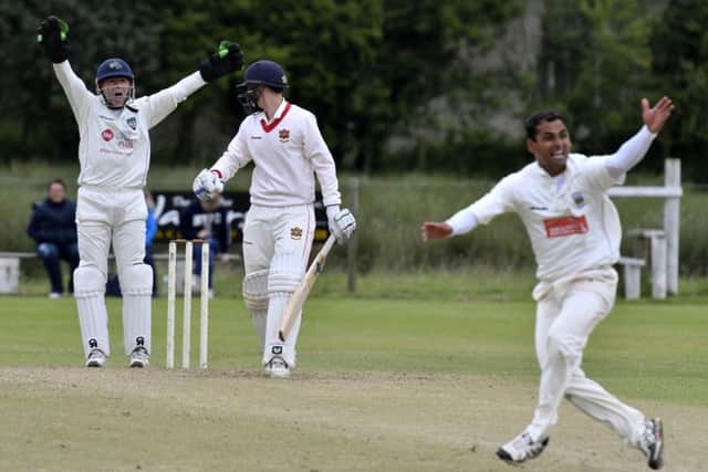 Ardmore succeed with this appeal for lbw against Brigade batsman Kyle Magee. DER2518-129KM