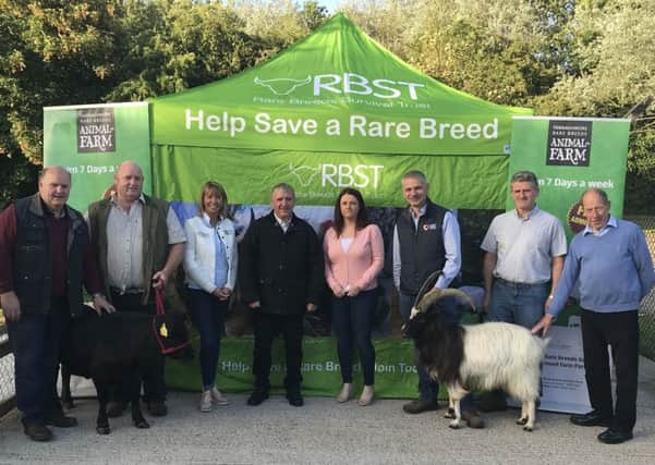 Rare Breeds Survival Trust NI Support Group