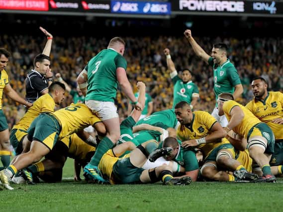 Ireland celebrate CJ Stander's try against Australia