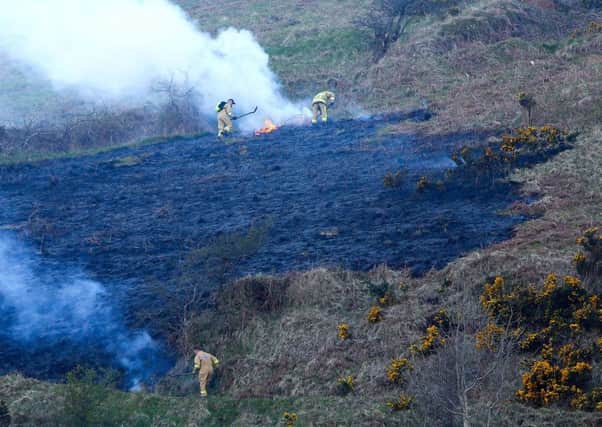 Picture - Kevin Scott / Presseye News

Saturday 18th April 2015 -  Gorse Fires on Black Mountain 

Pictured is Firefighters dealing with a gorse fire at the edge of a cliff on the Black Mountain in west Belfast

Picture - Kevin Scott / Presseye News

Added by AK
19-04-15
