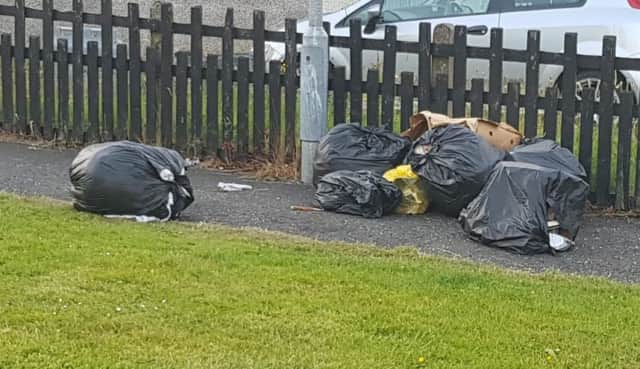 Rubbish bags lying at the lower end of Hamilton Park.
