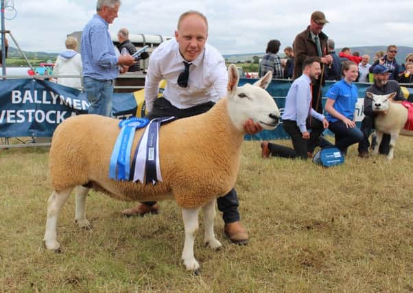 Allister McNeill, from Toomebridge, with the North Country Cheviot Champion at Limavady Show 2018