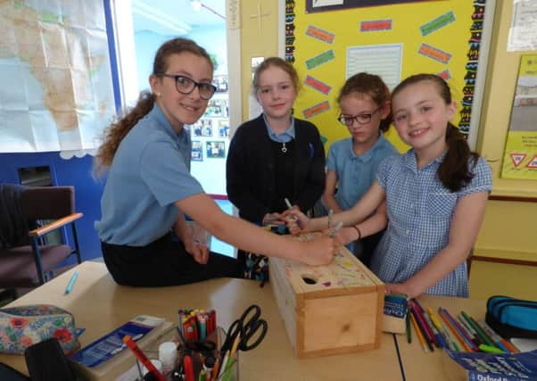 Pupils from Seaview Primary School have been taking part in the Mid & East Antrim Council's  Swift project which is running this summer.