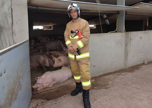 Group Commander Geoff Somerville pictured as 72 pigs  have been rescued in Northern Ireland's largest ever animal rescue operation,  on a  farm on the Ballinderry Road in Aghalee on Sunday
34 Fire fighter where  in attendance including Crews from Lurgan and Crumlin Fire Stations,  A Specialist Rescue Team from Central Fire Station and 2 animal rescue teams from Newcastle and Omagh.
The pigs, weighing over 100 kilos each, fell into the slurry tank when concrete slots gave way. Unfortunately two pigs died during the operation