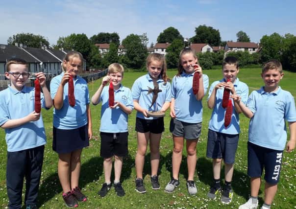 Primary pupils in Portglenone got involved in making bird feeders as part of the Council's summer project aimed at raising the profile of the Swift. (submitted pictures)..
