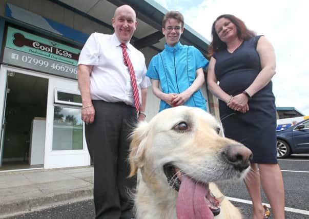 Alderman William Leathem, Chairman of the Council's Development Committee visits new business Cool K9s, which was the 100th business to avail of the Go for It prgramme in the Lisburn area in recent months.  Also pictured are Charlene Marshall, owner of Cool K9s; Molly the dog; and Martina Crawford from Lisburn Enterprise Organisation, which delivers the Go for It programme on behalf of the Council.