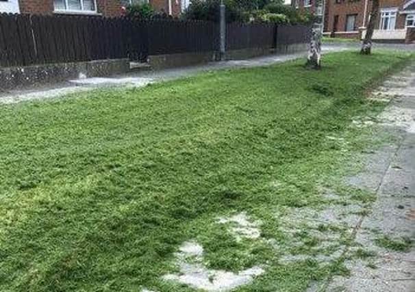 Ballyoran Park woman complains a mess was left after grass cutting