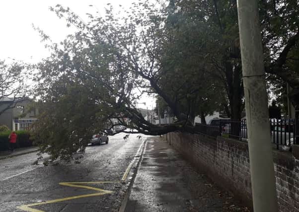 A fallen tree is blocking a section of the Rashee Road in Ballyclare.